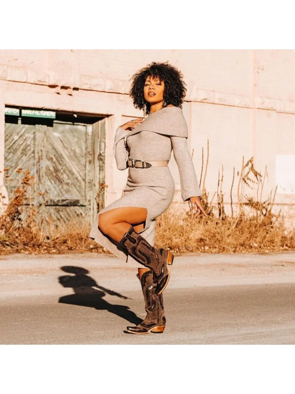 Women's Dark Brown Swallow Chunky Low Heels Western Cowboy Knee High Boots